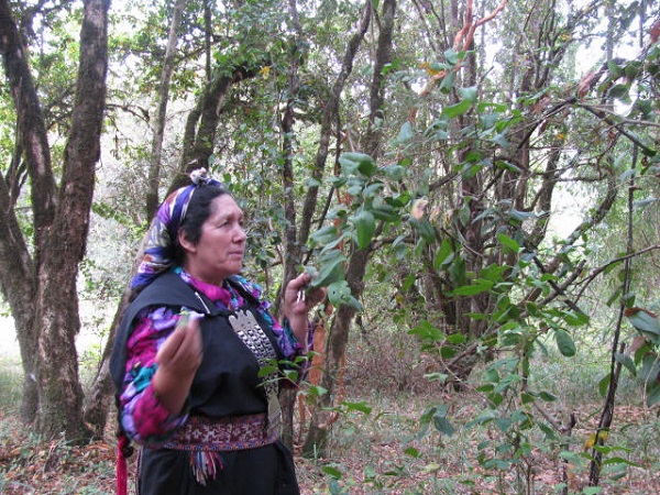 FII Realiza Visita de Acompañamiento Humanitario a Lonko Juana Calfunao