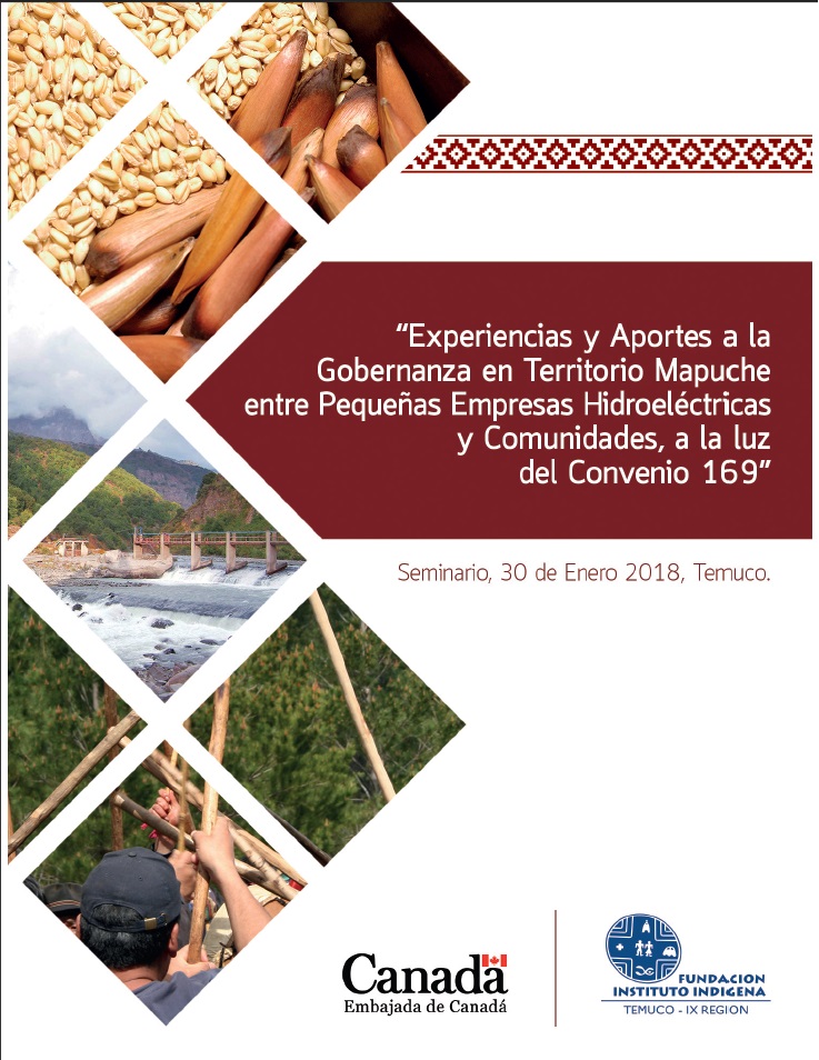 Descargue el documento final del seminario sobre comunidades mapuches y pequeñas empresas hidroeléctricas