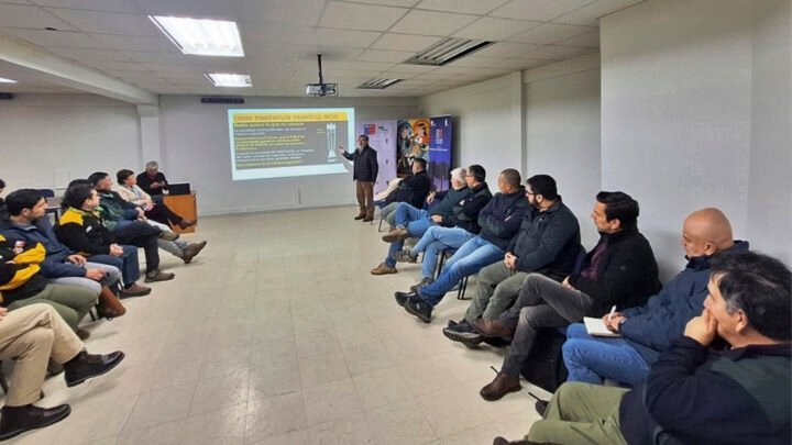 Profesionales de CONAF fortalecen sus conocimientos sobre interculturalidad y cosmovisión mapuche